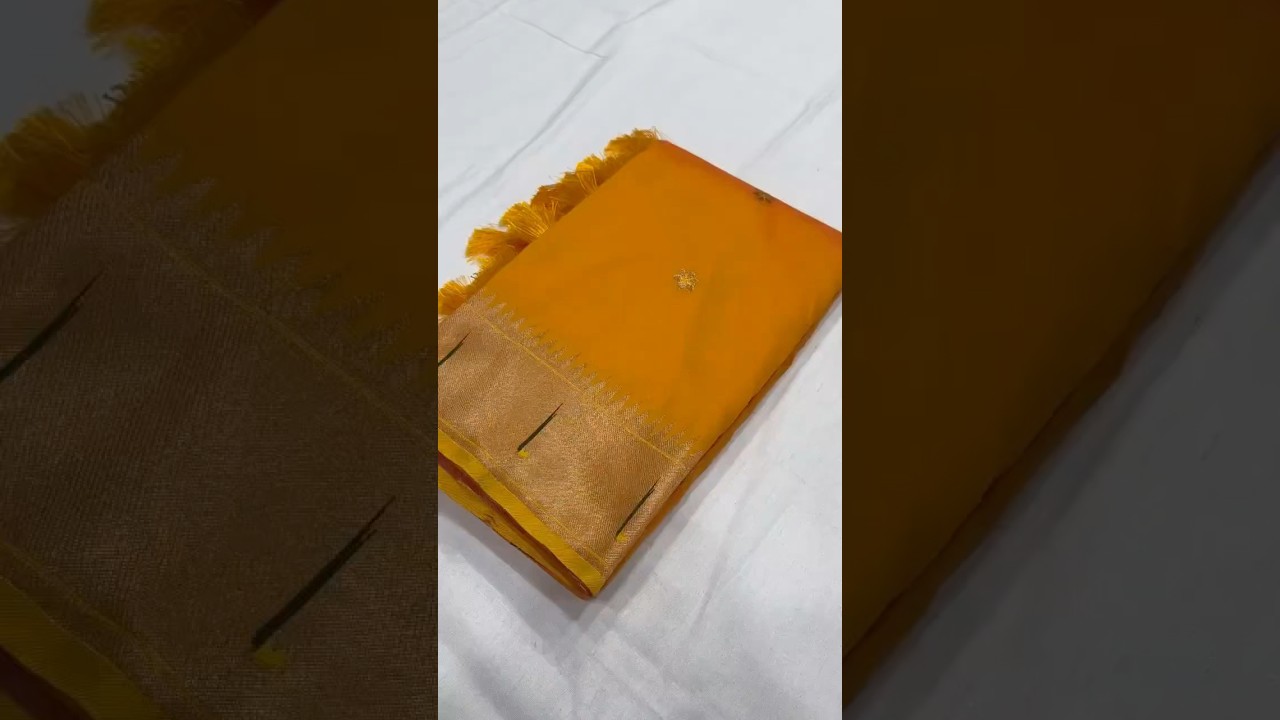 Paithani Vitthala Pallu Muniya Border Saree