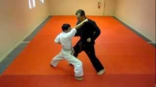 One Step Sparring 4