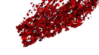 BLENDER / Using NodeBox for Rose Petals