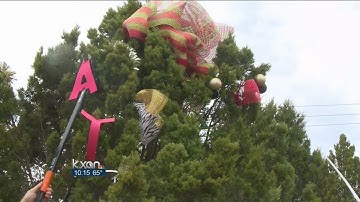 Boy Scout troops help clean up Christmas decorations along 360