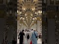 hara gumbad#foryou #shortsvideo #love #madina