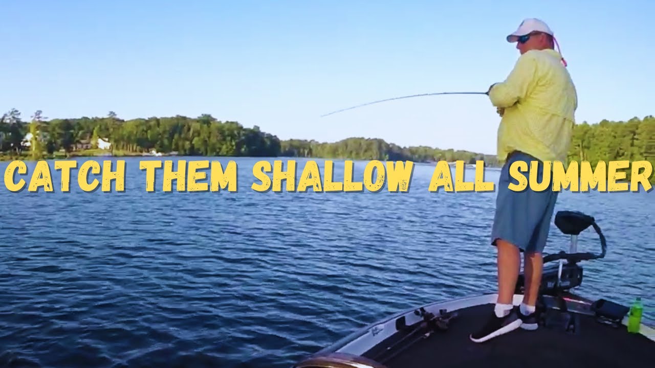 Big Bass Up Shallow In The Summer | Bass Fishing 2021