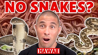 Why Hawaii Doesn t Have SNAKES The TRUTH About Living in Hawaii