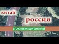 Сибирь станет пустыней! Если мы не остановим Китайцев