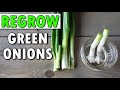 How To Regrow Green Onions...And Beyond!