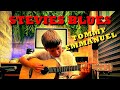 Stevie’s Blues by Tommy Emmanuel