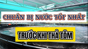CHUẨN BỊ NƯỚC TỐT NHẤT TRƯỚC KHI THẢ TÔM | Trương Anh Quang Official