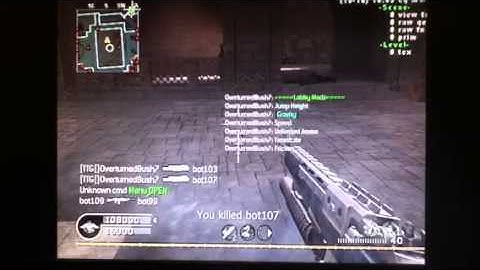 COD4: Having fun with Flixars mod menu