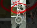 snake head water change 💦#shortvideo #shorts #ytshorts #snakeheadfish