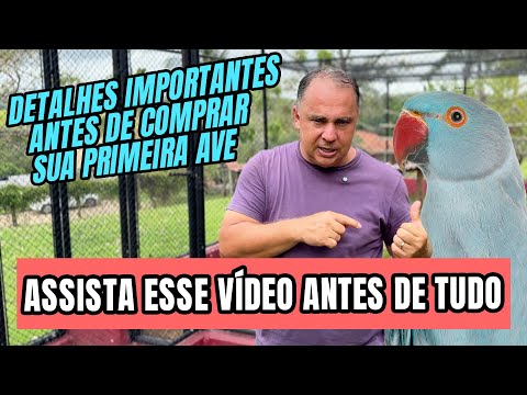 NÃO COMPRE SUA PRIMEIRA AVE ANTES DE ASSISTIR ESSE VÍDEO