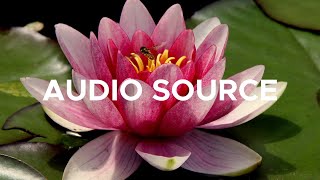 Vlad Gluschenko - Flowering [Copyright Free Vlog Music]