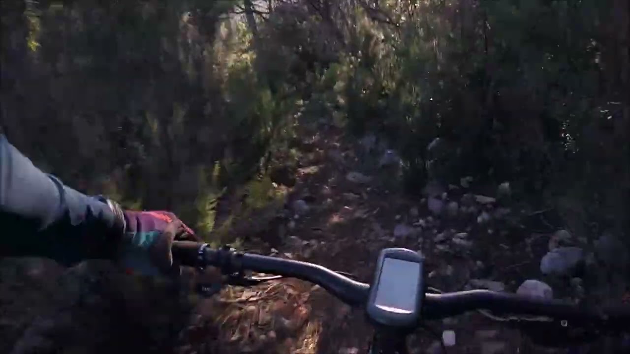 medronheiros trail - Portugal