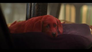 What Kind of Dog Is Clifford Anyway