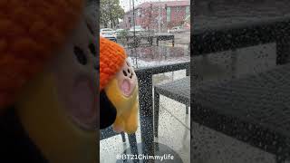 Bt21 Chimmy Rainy Days