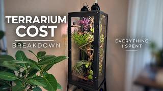 How Much Does a Terrarium Cost? Full Build Price Breakdown