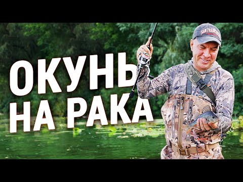 Ловля ОКУНЯ НА РАКА з Берега