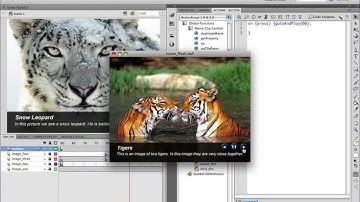 Make A Professional Website Slideshow - Part 9 - Create Functional Flash Buttons