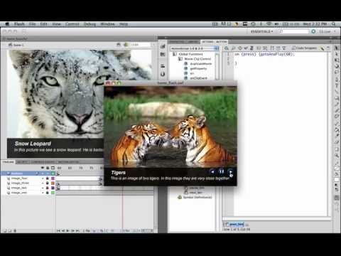 Make A Professional Website Slideshow - Part 9 - Create Functional Flash Buttons