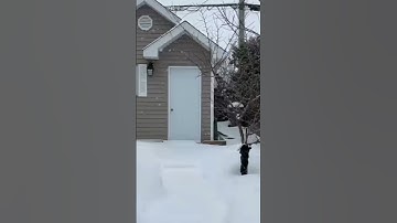 Thumbnail of Let it snow #winter #song #snowfall #views #shorts #ytshorts #naturelife