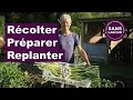 Récolter et replanter sans retourner la terre