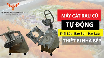 Máy cắt rau củ quả đa năng tự động | Thái sợi, thái lát,thái mỏng, cắt hạt lựu | Thiết bị nhà bếp