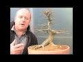 Bonsai Quick Fix Demo' by Graham Potter