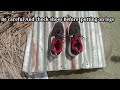 Frog inside the shoes || check shoes Before Wearing it