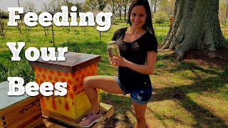 Feeding Your Bees: Maĸing Sugar Water