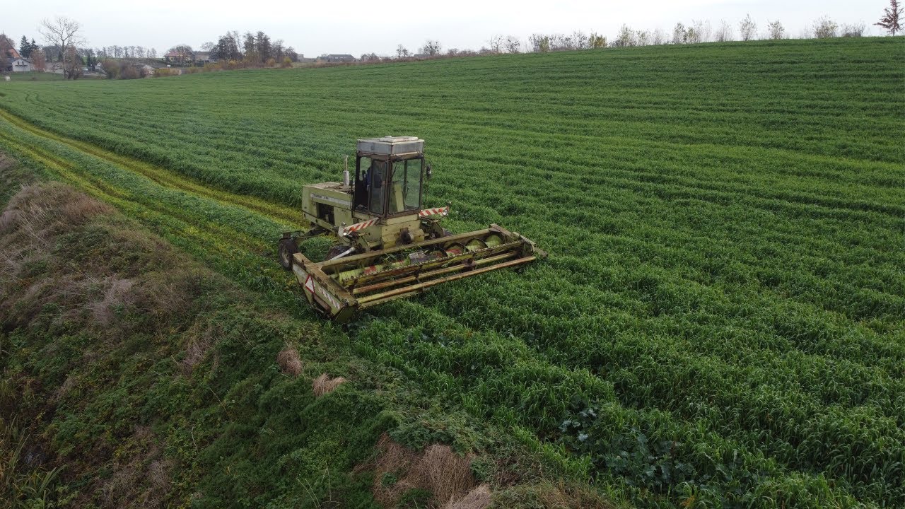 POPLON na kiszonkę nie zawodzi kolejny rok 🔥Pokosówka nie dała rady🤯 Zebraliśmy ponad 100 rolek☘️🐄