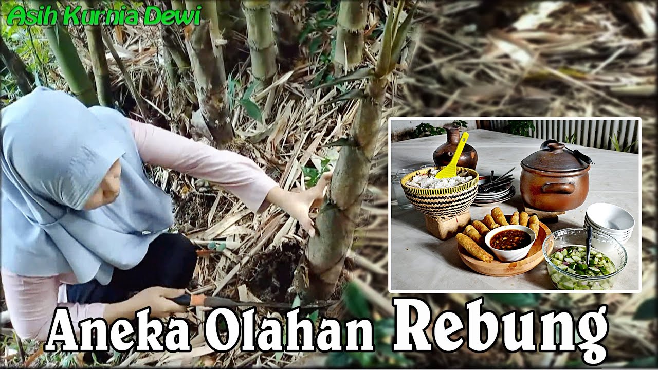 Masak dari Alam - Olahan Rebung - YouTube