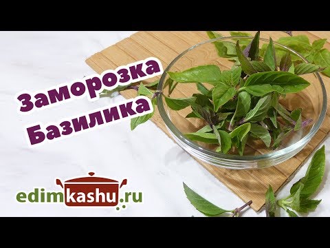 Очень простой способ Заморозки Базилика/ Заготовки на зиму