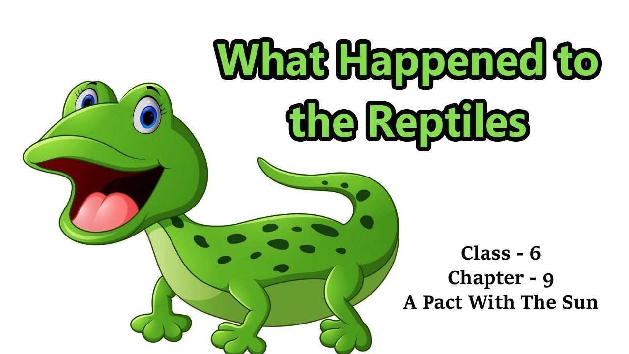 What Happened to the Reptiles #Chapter_9 #Class_6 #CBSE #NCERT #WHAT