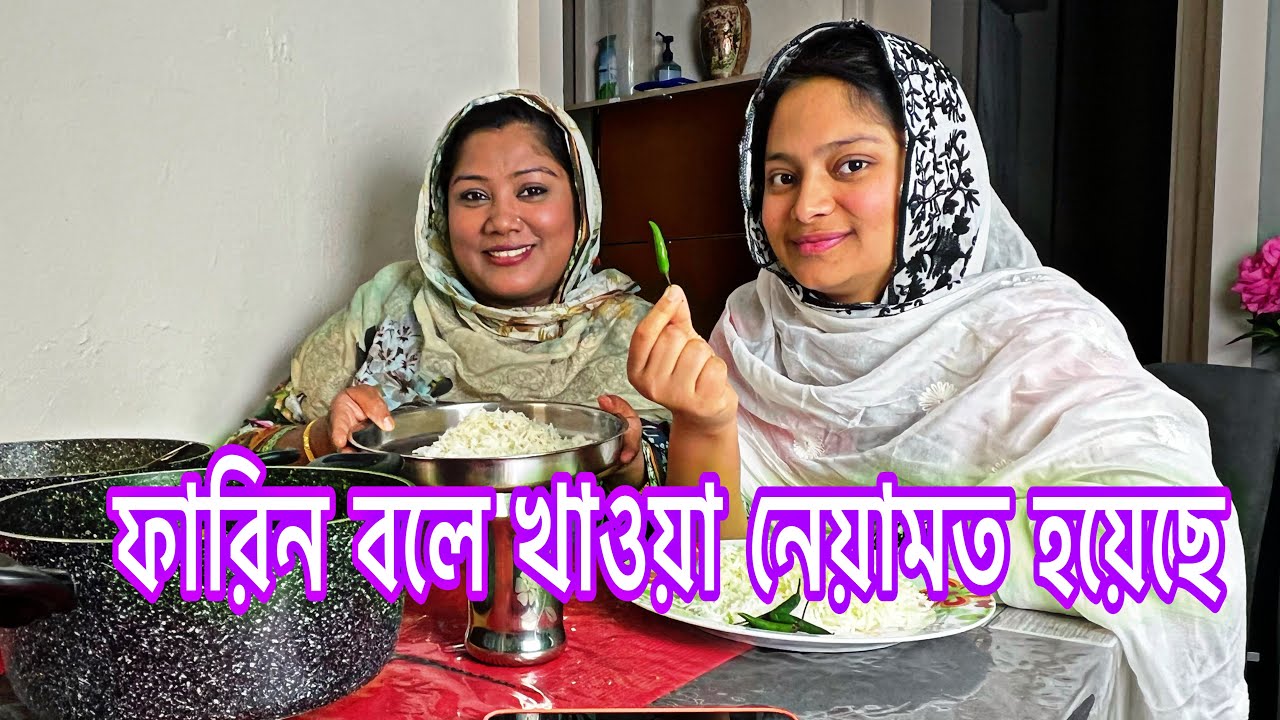 My daily vlog| আজ আমার পছন্দের দুই রেসিপি রান্না করে ফারিন কে খাওয়ালাম সে কি বলে তার মুখে শুনেন