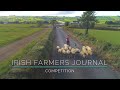 Irish Farmers Journal Win a Texel Ewe Competition