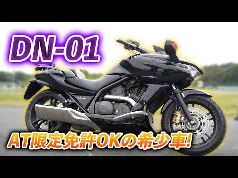 DN－01  ザハーク　　新品　未組み立て DN－01 ザハーク 新品 未組み立て ZX｜製品紹介｜YASAKA株式会社