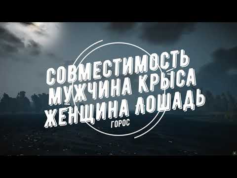 Совместимость мужчина Крыса и женщина Лошадь