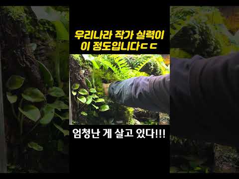 #<strong>비바리움</strong>