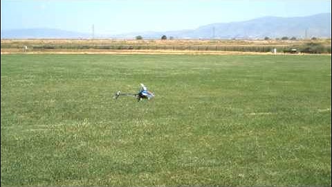 Trex 500 Auto/inverted Auto practice