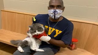 Man Visits Shelter to Adopt New Cat, Finds His Lost Senior Cat in One of the Cages