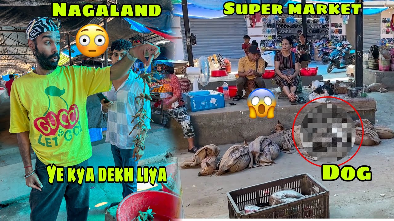 NAGALAND ki Market mai ye kya dekh liya 😱 SENSITIVE VIDEO 🔴 Arunachal Pradesh nikal gaye hum Ep.08