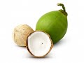 Spiritual benefits of coconut  prophet moses