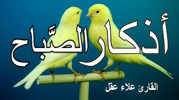 أذكار الصباح - راحة نفسية لا توصف بصوت القارئ علاء عقل | Morning Athkar - Dzkir Pagi