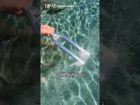 물속에서 소리를 내면 생기는 일 thumbnail