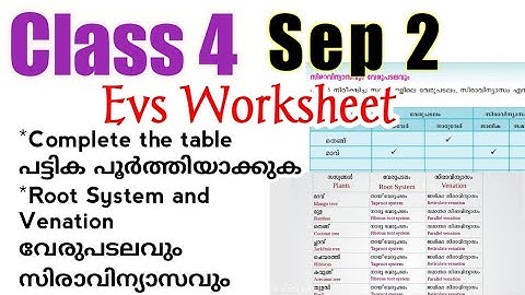 Class 4 Victers Evs Worksheet Sep 2/class 4 victers worksheet/evs worksheet class 4/പരിസരപഠനം