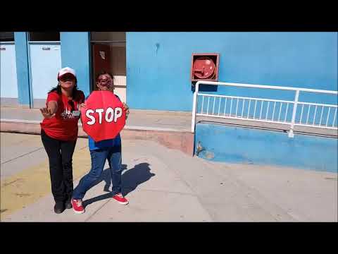 LIPDUB ESC 2018 VALLENAR mineduc libros
