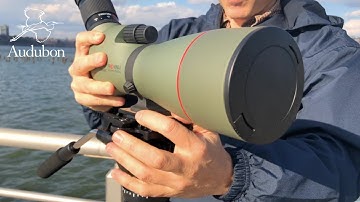 How To Use A Spotting Scope