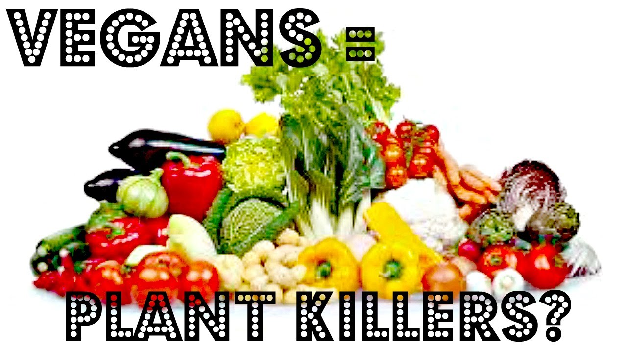 PLANTS FEEL PAIN TOO + VEGANS ARE HYPOCRITES! Cheap Lazy Vegan YouTube