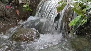 RELAXATION | The sound of gurgling water and birds chirping is suitable for brain therapy to calm