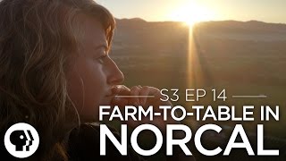 Farm to Table in Northern California | Original Fare | PBS Food