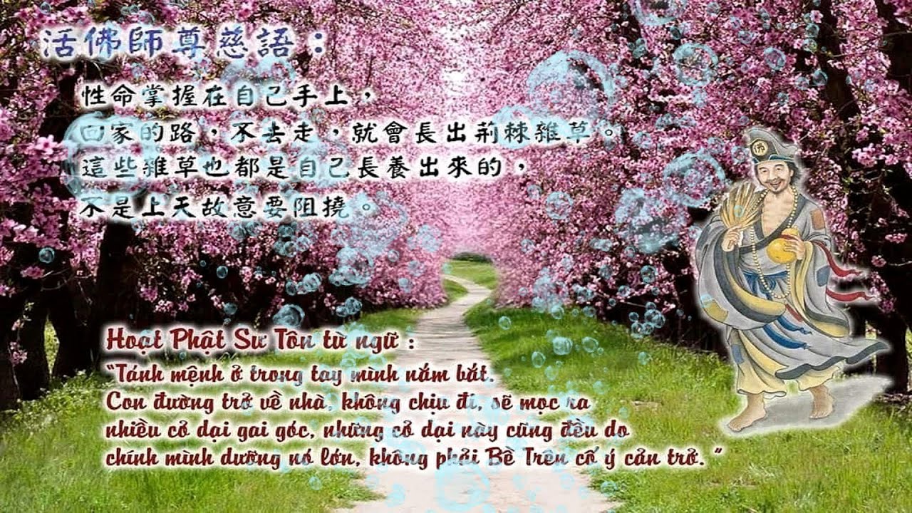 @senvangchannel  Đối Diện Với Chính Mình - Tế Công Hoạt Phật từ bi